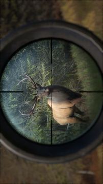 HUNTER2019游戏截图5