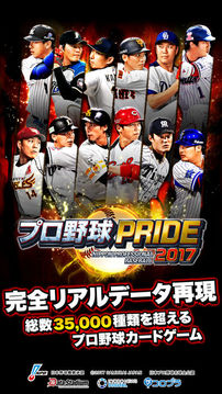 プロ野球PRIDE游戏截图4