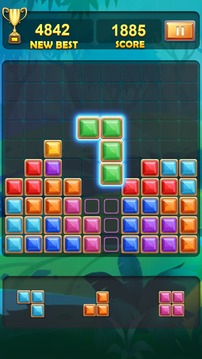 BlockPuzzlesRotate10x10游戏截图4