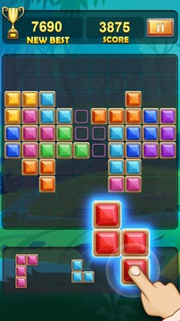 BlockPuzzlesRotate10x10游戏截图1