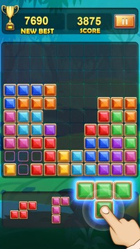 BlockPuzzlesRotate10x10游戏截图2