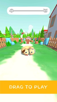 CatsDogs3D游戏截图5