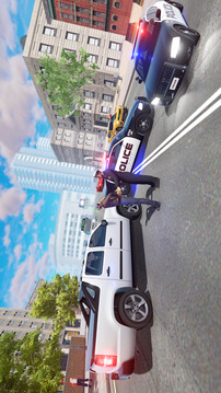 巡逻警察工作游戏截图4