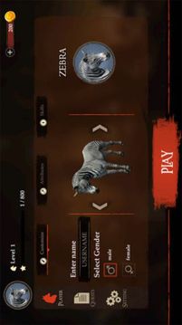 斑马王游戏截图1