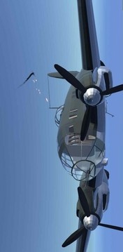 世界大战飞行模拟游戏截图2