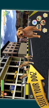 Zoro宠物狗竞赛游戏截图2
