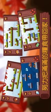 拂摇松鼠过冬游戏截图3