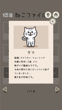 猫侦探的事件簿游戏截图3