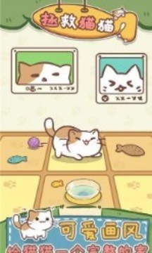 保护猫猫游戏截图2