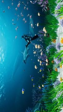 模拟水族造景游戏截图3