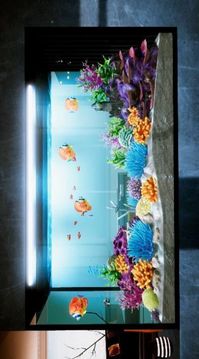 模拟水族造景游戏截图2