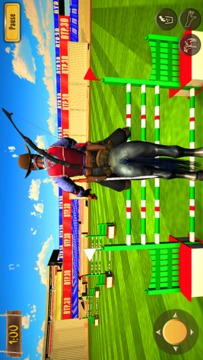 我的骑马模拟器游戏截图3