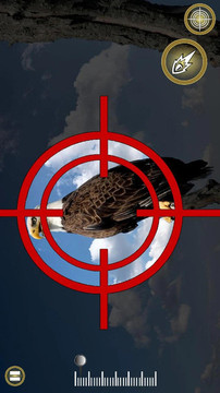 鸟类猎人狙击手游戏截图4