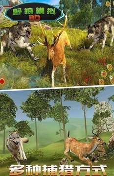 野狼模拟3D游戏截图1