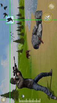 鸟类猎人狙击手游戏截图3