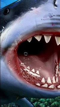 狩猎食人鲨游戏截图3