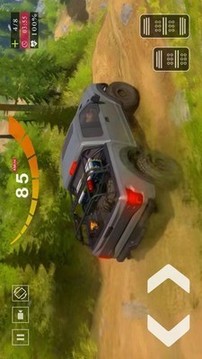 越野皮卡游戏截图1