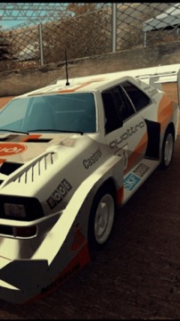 拉力赛车进化游戏截图1