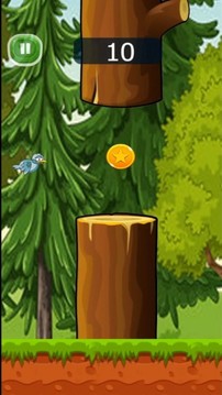 小鸟飞往森林游戏截图3