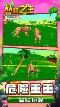 丛林之王模拟游戏截图5
