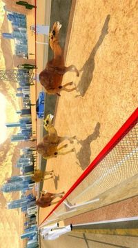 骆驼跑酷游戏截图3