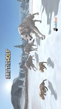 北极狼3D游戏截图1
