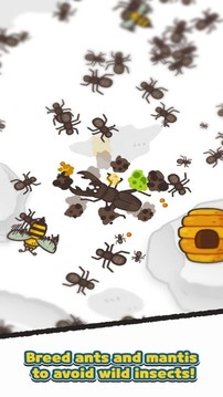 蚂蚁和螳螂游戏截图2