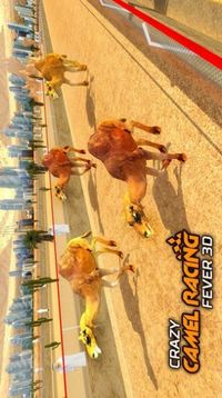 骆驼跑酷游戏截图2