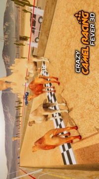 骆驼跑酷游戏截图1