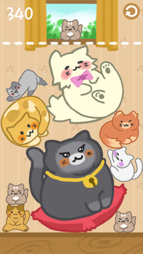 猫咪满屋游戏截图2