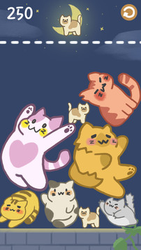 猫咪满屋游戏截图1