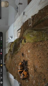 蚂蚁模拟大亨游戏截图4