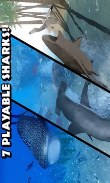 终极鲨鱼游戏截图3