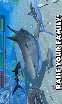 终极鲨鱼游戏截图1