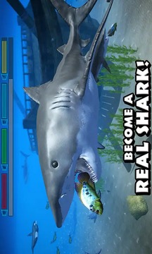 终极鲨鱼游戏截图2