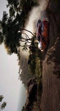 FIA世界汽车拉力锦标赛9游戏截图3