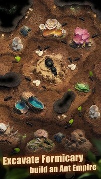 行星蚂蚁游戏截图2