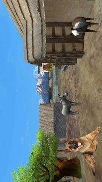 牧羊犬动物3D游戏截图2