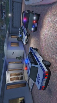 警察瓦兹市驾驶游戏截图1