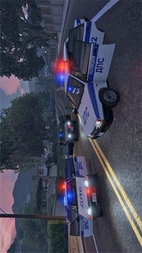 警察瓦兹市驾驶游戏截图2