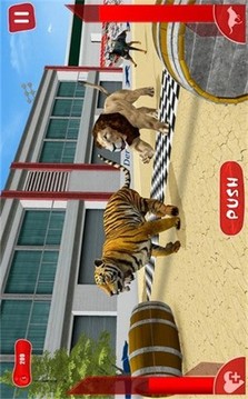 狮子赛跑3D游戏截图3