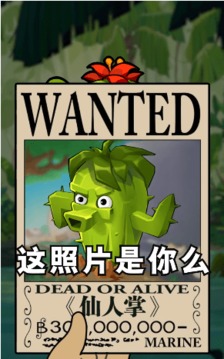 保卫植物游戏截图4