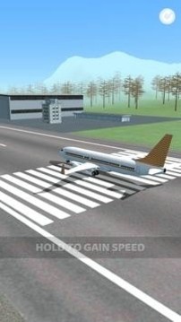 飞机失事3D游戏截图2