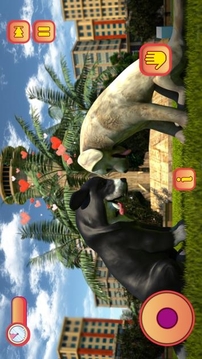 虚拟狗模拟器游戏截图3