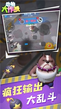 动物大作战猫鼠对决游戏截图3