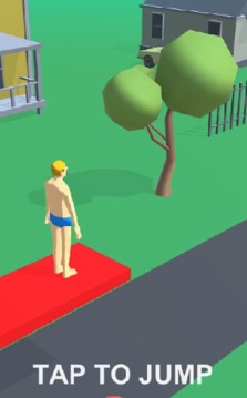 完美的跳水游戏截图2