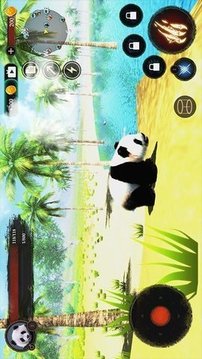 大熊猫狩猎游戏截图1