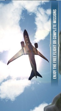 3D航空游戏截图1