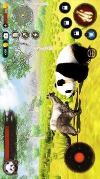 大熊猫狩猎游戏截图3