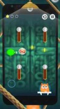 Cut the Rope: Cat游戏截图5